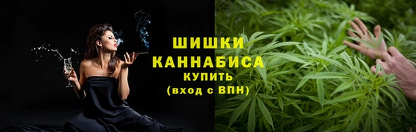 стаф Балахна