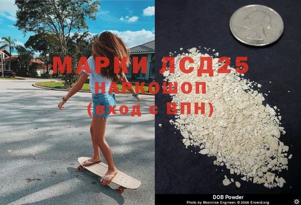 стаф Балахна