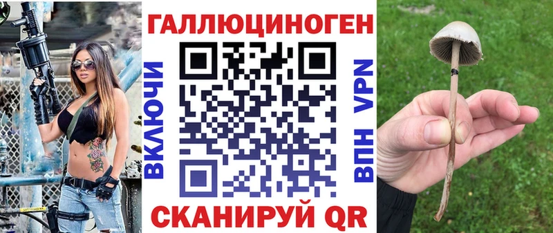 Псилоцибиновые грибы Psilocybine cubensis  Купить  Красный Кут 